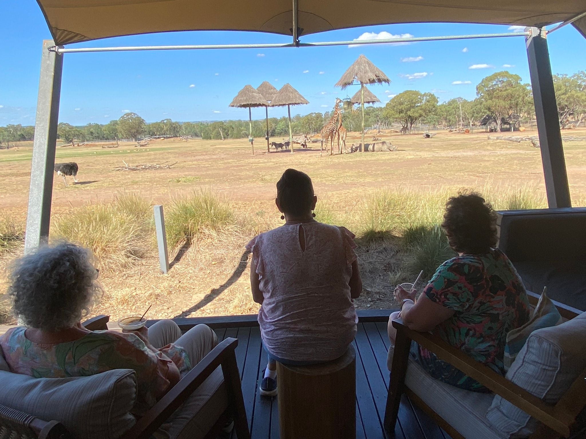 Dubbo Zoo 2025 Image -67de04b5142d7